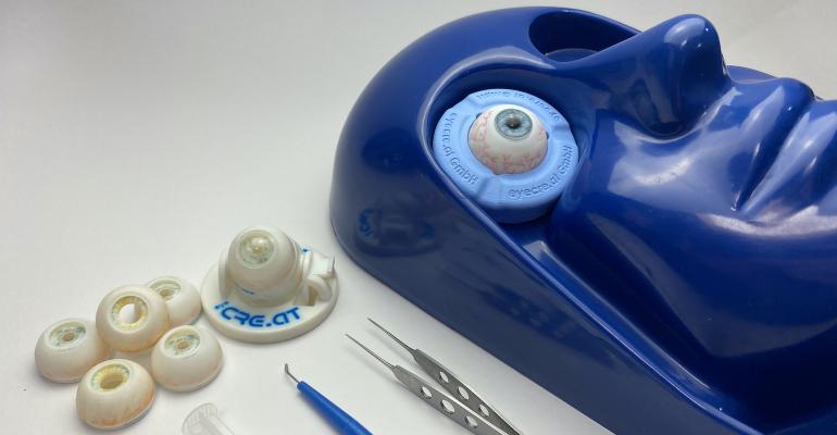 stratasys-3d-printed-eye.jpg